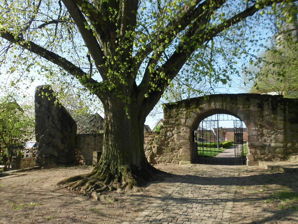 Menhir in Kirchhain Langenstein