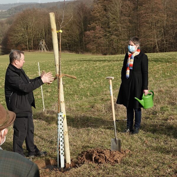 Foto zur Pressemitteilung 087/2021 (Kelterwiesenprojekt: Michael Zerbe vom Fachdienst Agrarförderung und Agrarumwelt (3.v.l.) erläutert während eines Pflanz-Workshops den Projektteilnehmern (v.r.) Bernd und Heinrich Lemmer sowie Landrätin Kirsten Fründt und Regierungspräsident Dr. Christoph Ullrich die Abläufe und Besonderheiten bei der Pflanzung der Obstbäume)