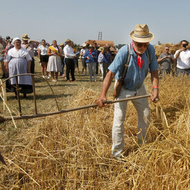 4. Tag der Landwirtschaft in Amöneburg.