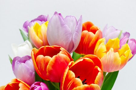 Teaserbild Jubiläen und Verabschiedungen, bunter Tulpenstrauß