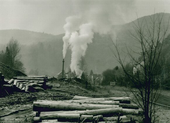 Ludwigshütte Holzwerk (ehemals Eisenwerk Lettermann)