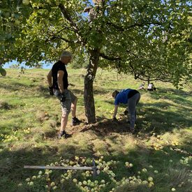 Landschaftspflegeverband in Kirchhain