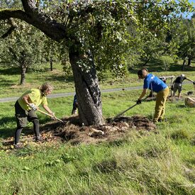 Landschaftspflegeverband in Kirchhain