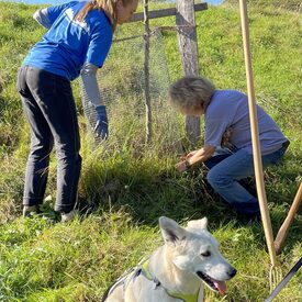 Landschaftspflegeverband in Kirchhain