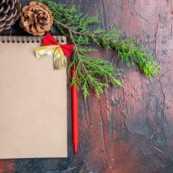 Bild Adventskalender Nachhaltigkeit