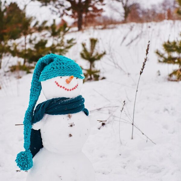 Bild Adventskalender Nachhaltigkeit