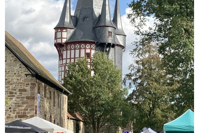 Tag der Nachhaltigkeit in Neustadt