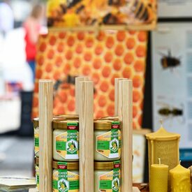 Nachhaltigkeitstag 2025