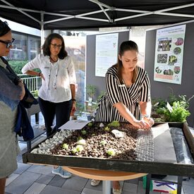 Nachhaltigkeitstag 2025