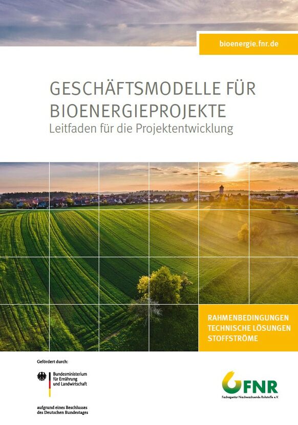 Titelseite Leitfaden Bioenergieprojekte