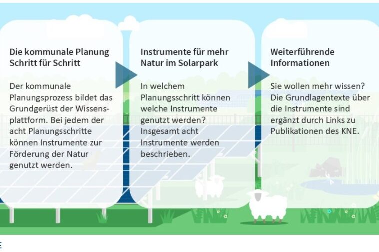 Planungsschritte klimafreundlicher Solarpark