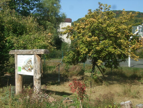 Schautafel im Schulgarten