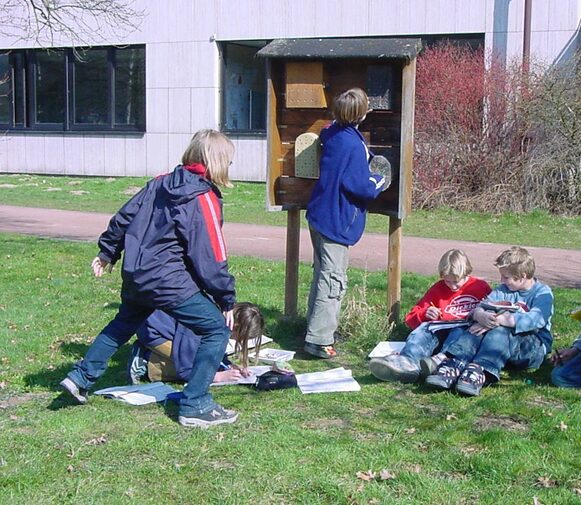 Selbstorganisiertes Lernen