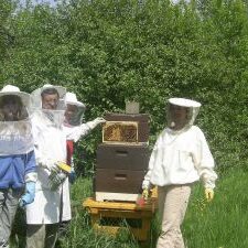 Arbeiten am Bienenstand
