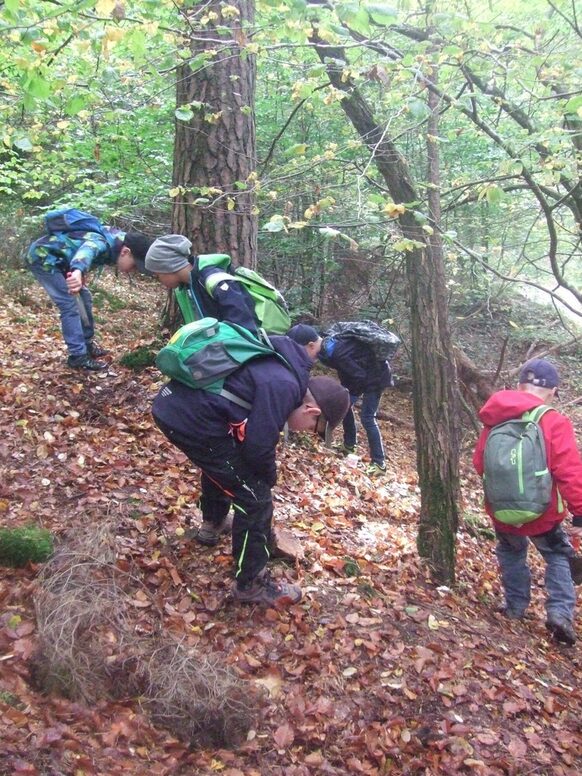 Spannender Tag im Wald