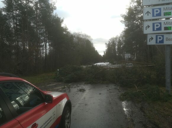 Die Straßen am Marburger Universitätsklinikum waren zeitweise durch umgestürzte Bäume teilweise blockiert. Das Klinikum war aber erreichbar.