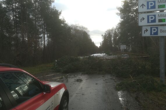 Die Straßen am Marburger Universitätsklinikum waren zeitweise durch umgestürzte Bäume teilweise blockiert. Das Klinikum war aber erreichbar.