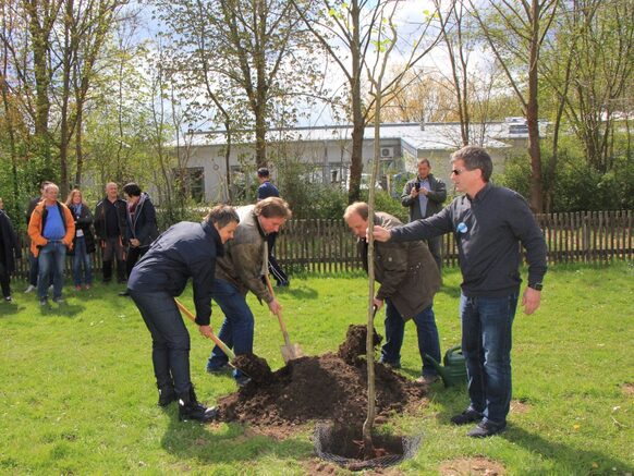 Die beteiligten Akteure pflanzen einen Baum