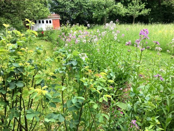 Blick in den Garten des Ubbelohde-Hauses