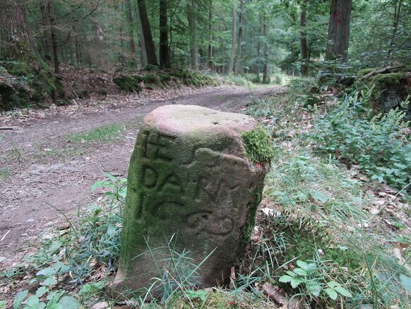 Foto zur Pressemitteilung 337/2019 (Etappenwanderung vhs)