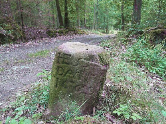 Foto zur Pressemitteilung 050 (Wanderung Plus)