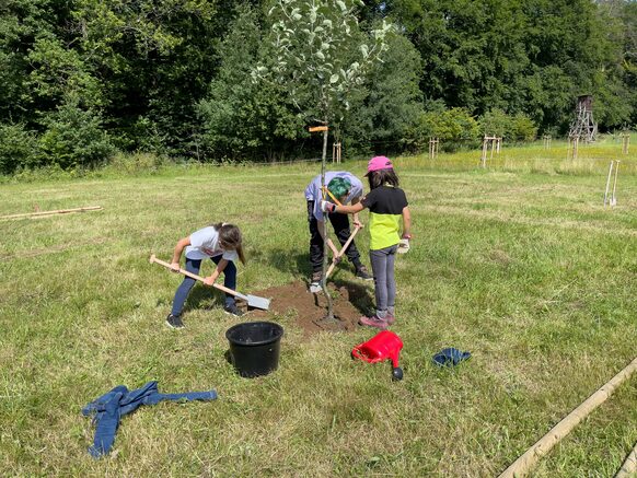 Kinder pflanzen einen Baum