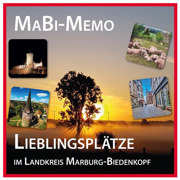 Deckelansicht des MaBi-Memo-Spieles