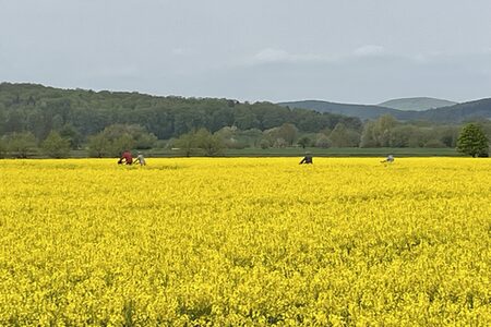 Radler unterwegs auf der Höfe-Radeln-Tour