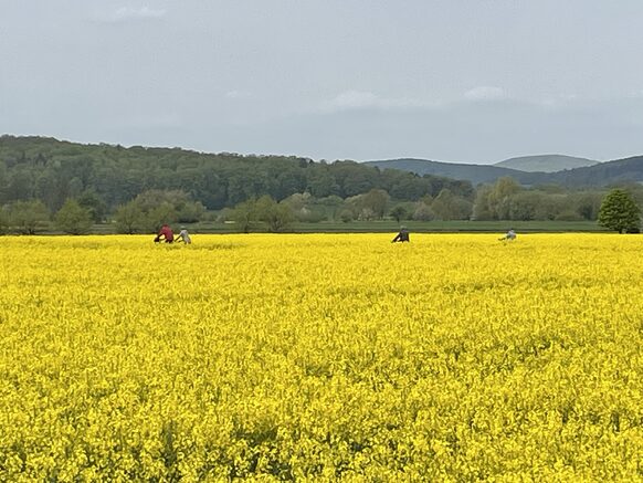 Radler unterwegs auf der Höfe-Radeln-Tour