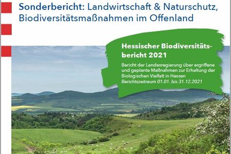 Titelseite des Biodiversitätsbericht des Landes Hessen