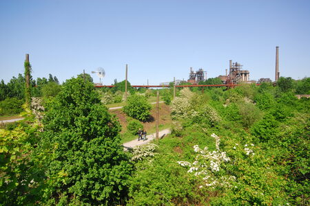 Blick in den Landschaftspark Duisburg