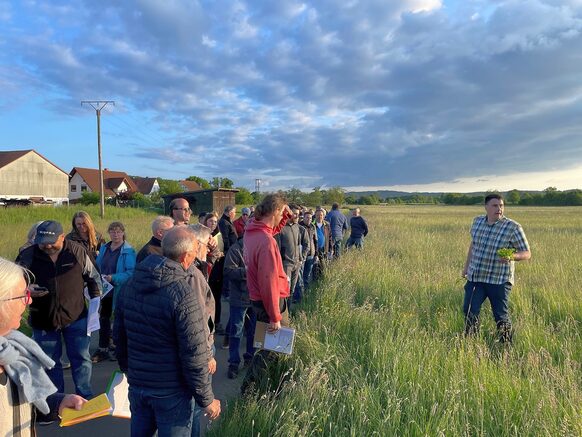 Eine Gruppe von Landwirtinnen und Landwirten bei einer Wiesenbegehung (Teilnehmende eines Infoangebotes).