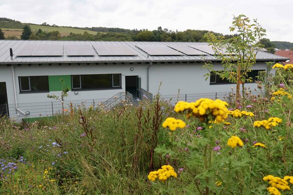 Neben einem der Solardächer an der Berglandschule in Bad Endbach ist auf diesem Foto im Vordergrund die Blühwiese an der Schule zu sehen