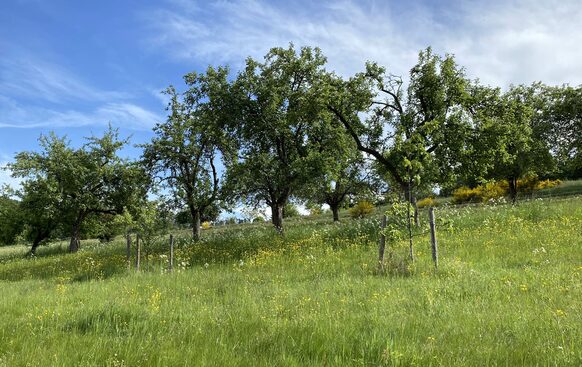 Foto zur Pressemitteilung 251/2025