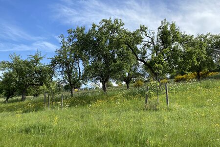 Foto zur Pressemitteilung 251/2025