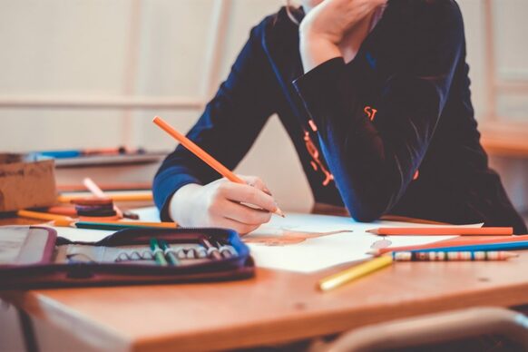 Artikelbild Schulen im Landkreis