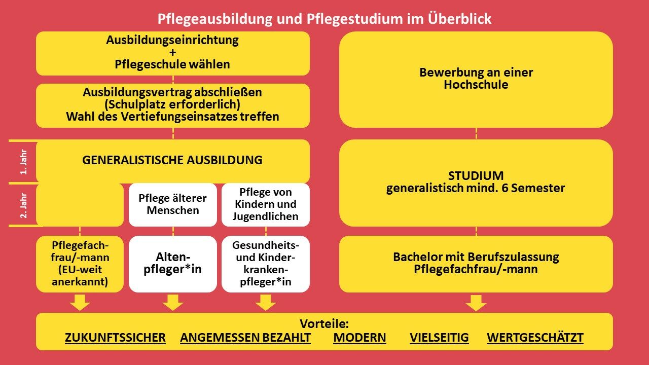 Grafik: Pflegeausbildungen im Überblick