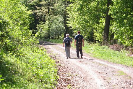 Wanderweg im Landkreis Marburg-Biedenkopf
