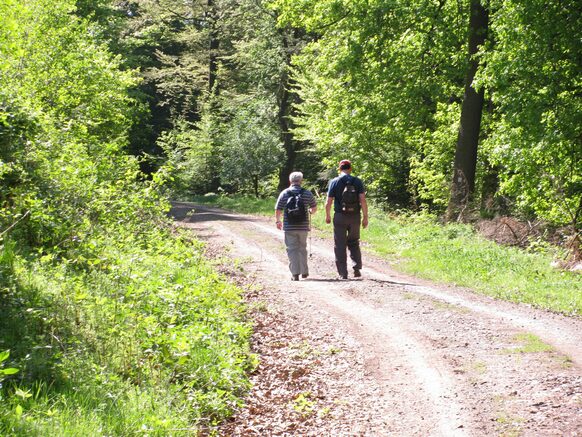 Wanderweg im Landkreis Marburg-Biedenkopf