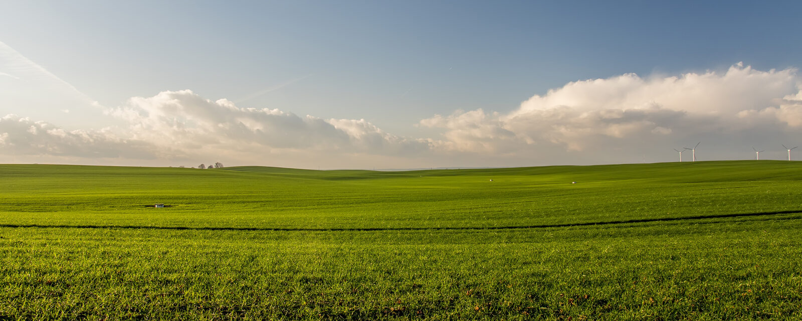 Rubrikbild Umwelt und ländlicher Raum