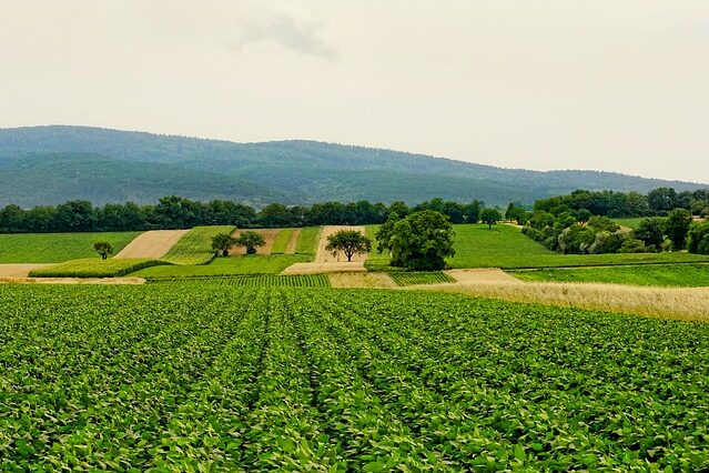 Landwirtschaftliche Flächen