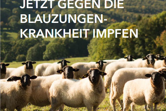 Titelbild Broschüre Blauzungenkrankheit