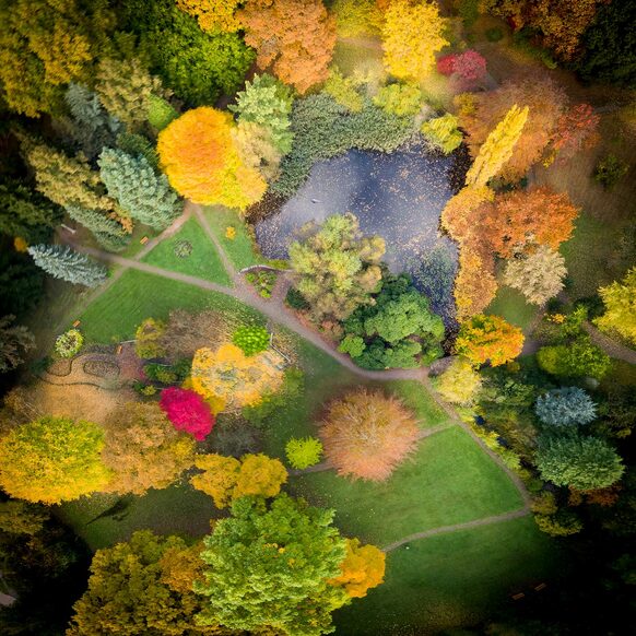 Luftbild, Alter Botanischer Garten Marburg, Herbst