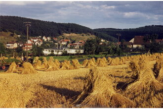 Dorfeinfahrt, aus Richtung Treisbach kommend.